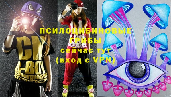 mix Белокуриха