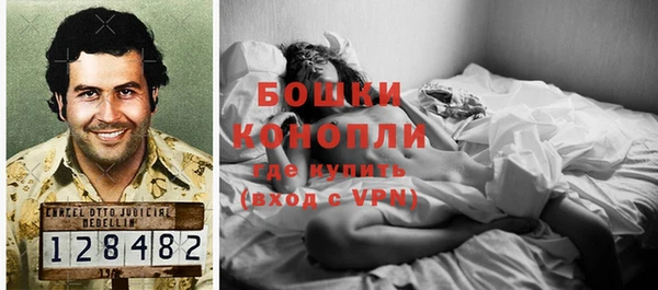МДПВ Дмитров