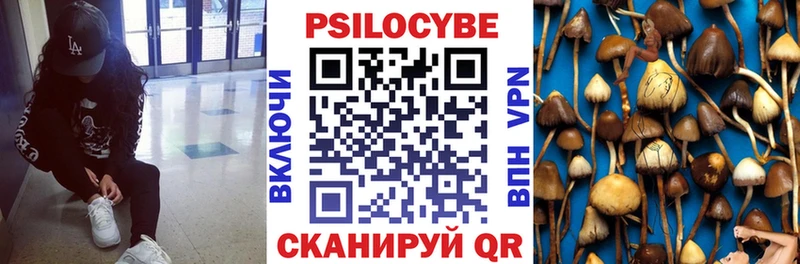Галлюциногенные грибы Cubensis  Пионерский 
