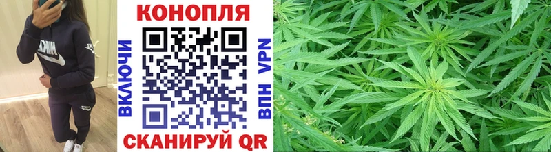 закладка Пионерский Бошки марихуана конопля